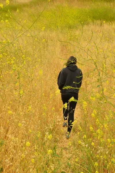 DSC_6480 (Large).JPG